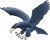 Ateneo Blue Eagles