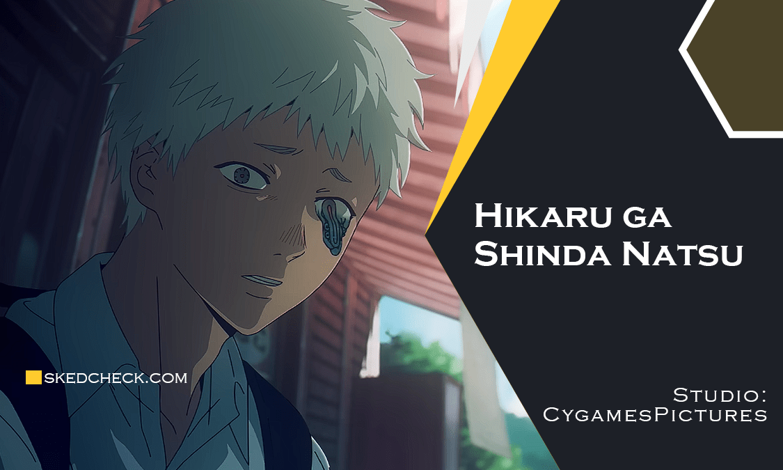 The Summer Hikaru Died