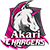 Akari Chargers