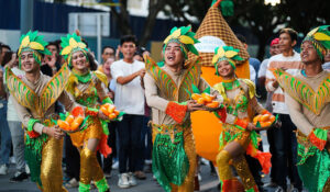 Cebu Mangoes Festival